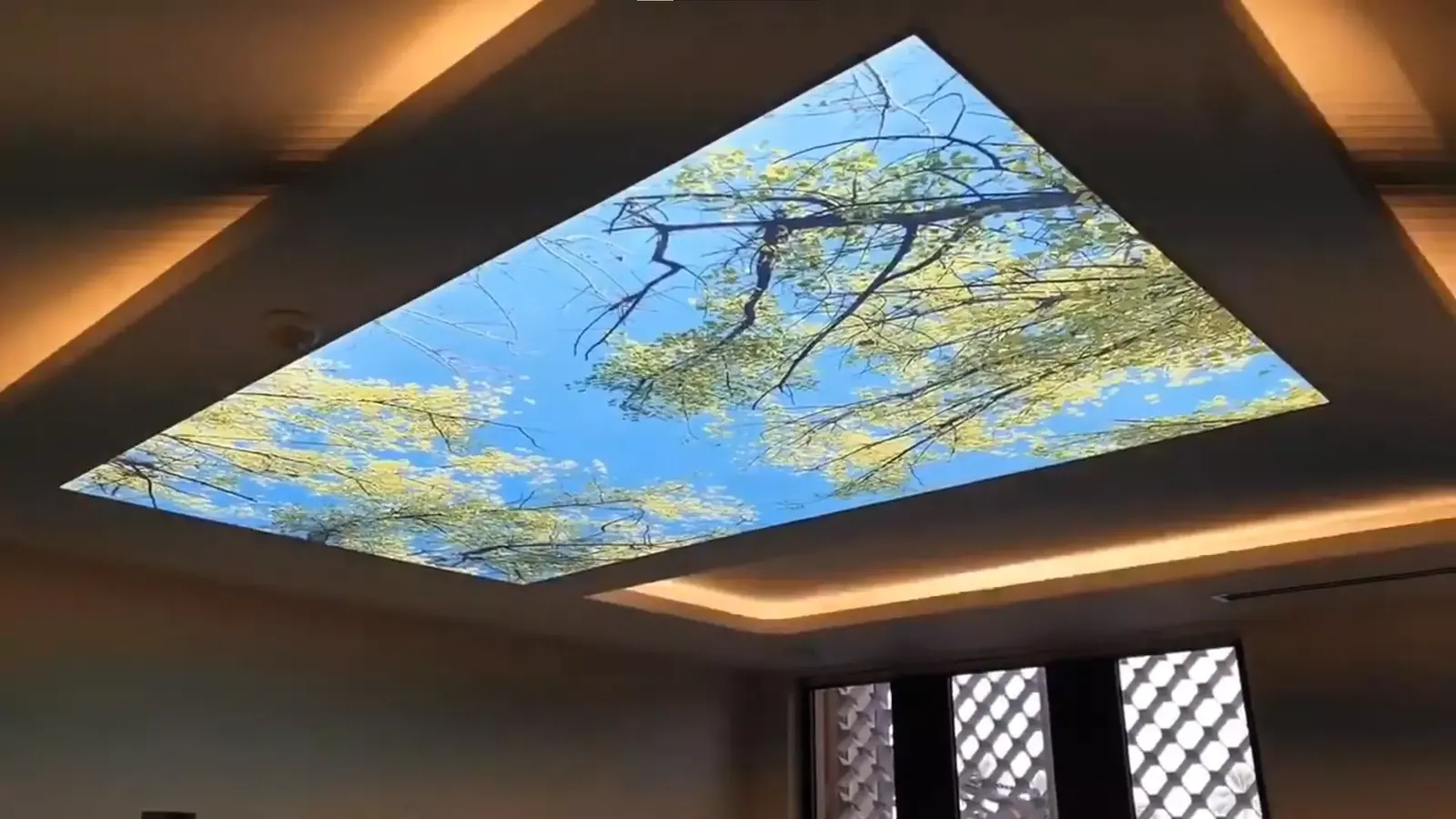 3D натяжной потолок — Комсомольск-на-Амуре, проспект Ленина, 7, фото 1